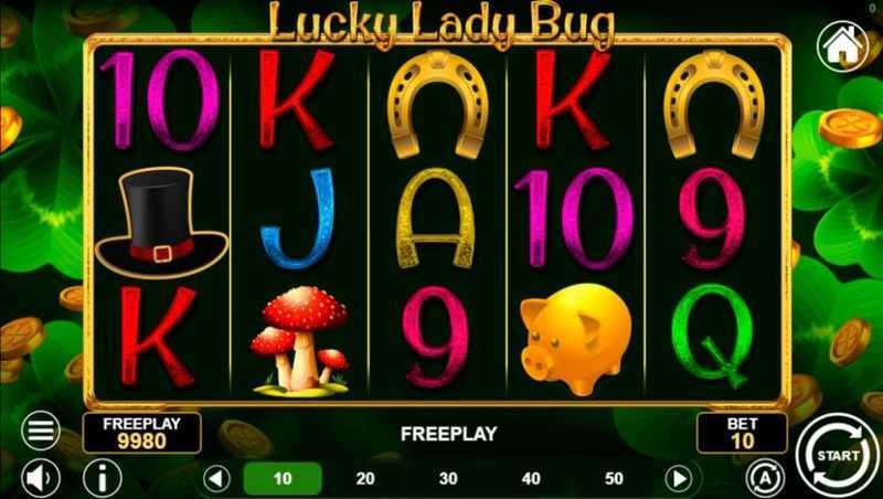 Lucky Lady Bug