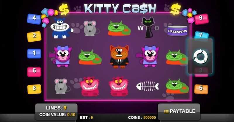 Kitty Cash