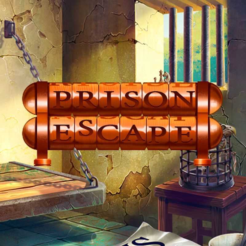 Prison Escape
