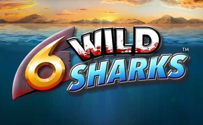 6 Wild Sharks 6 Wild Sharks