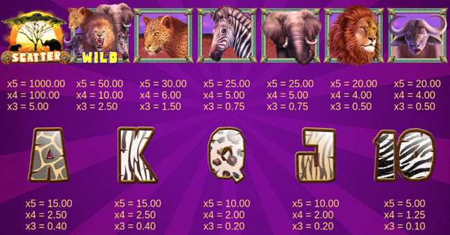 Big 5 Africa