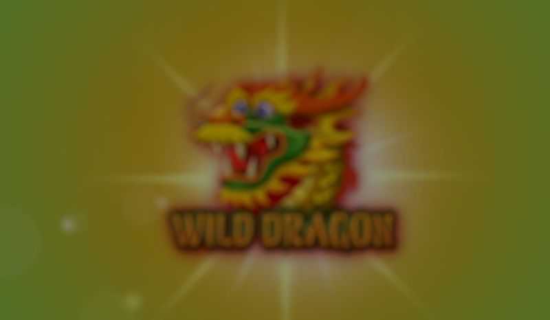 Wild Dragon