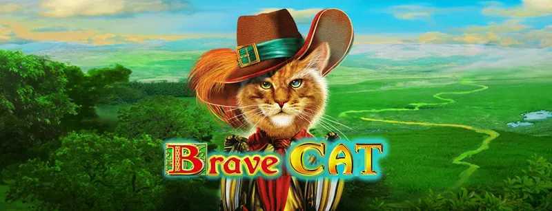 Brave Cat