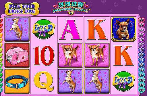 Doggone Lucky Doggone Lucky