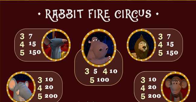 Rabbit Fire Circus