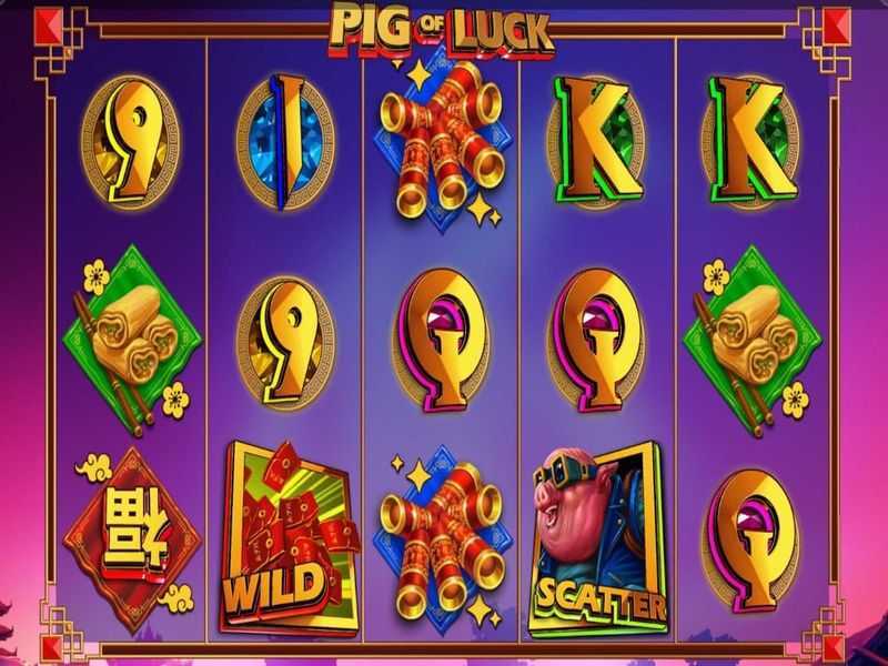 Pig of Luck