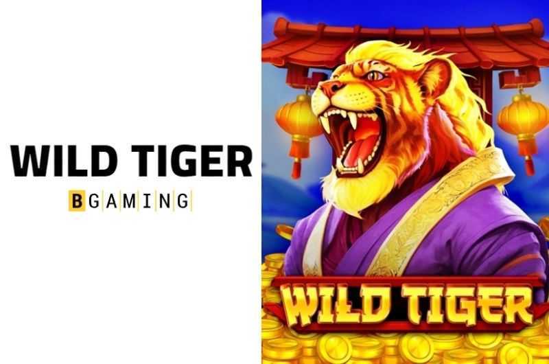 Wild Tiger