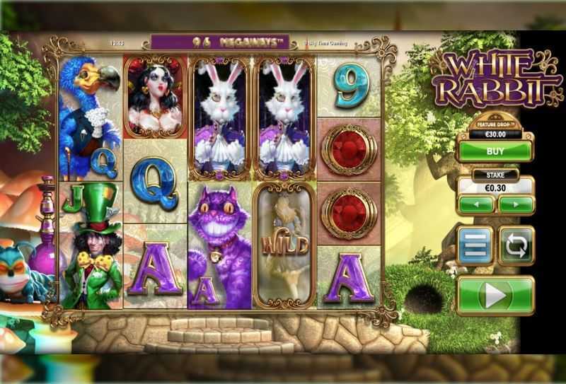 White Rabbit