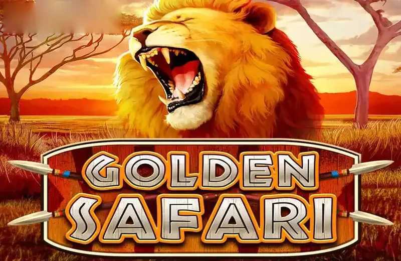 3 Lions