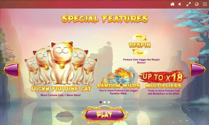 Lucky 8 Fortune Cat