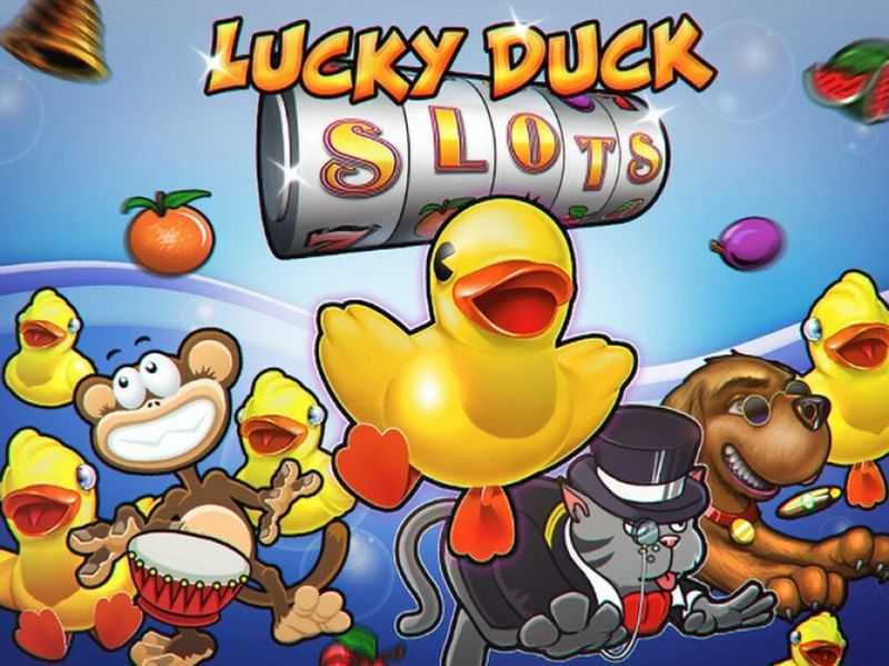 Lucky Duck