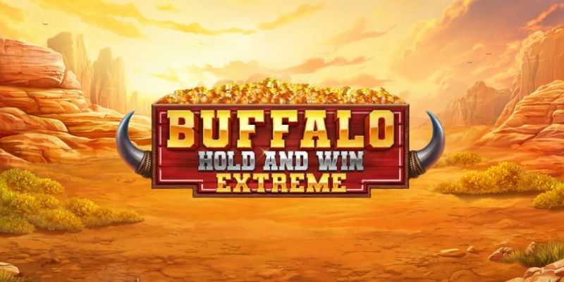 Buffalo Hold and Win