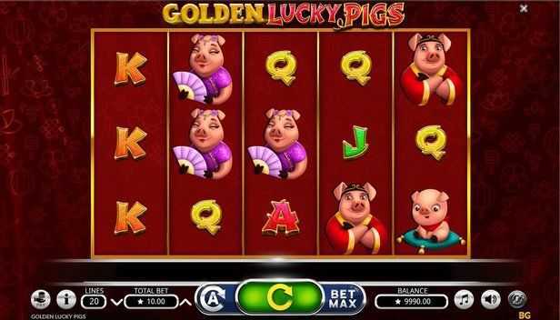 Golden Lucky Pigs