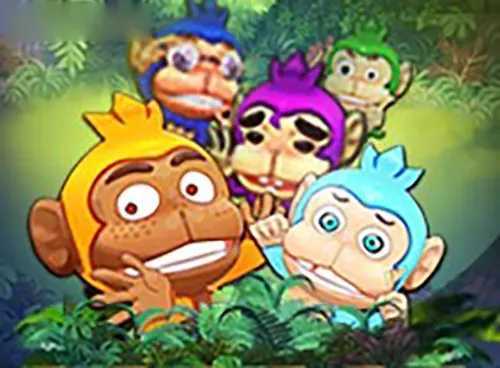 3 Monkeys