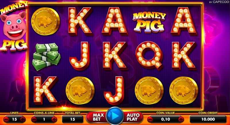Money Pig