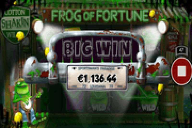 Frog-of-fortune-3 Frog-of-fortune-3
