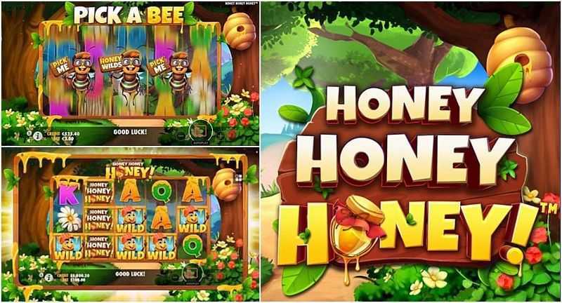 New Honey Bees