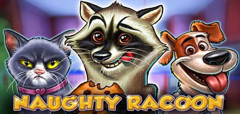 Naughty Racoon