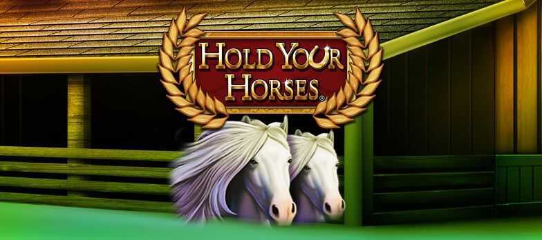 Hold your horses