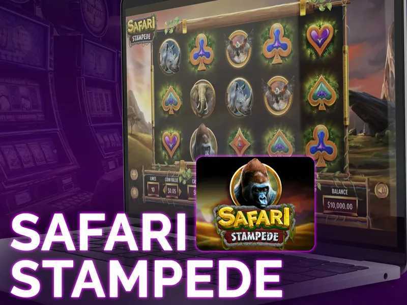 Safari Stampede