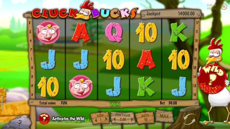 Cluck Bucks Cluck Bucks