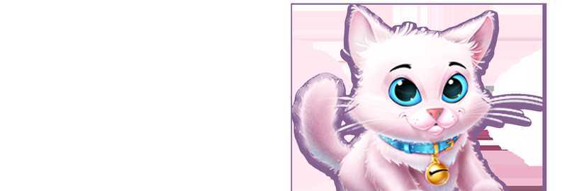 Kitty Payout