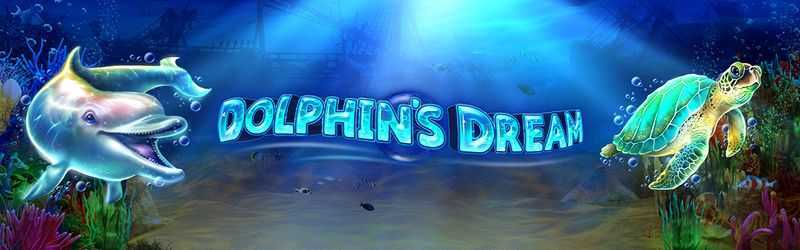 Dolphins Dream
