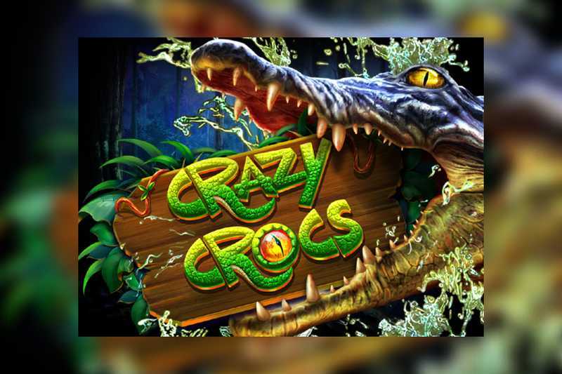 Crazy Crocs