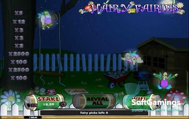 Hairy Fairies