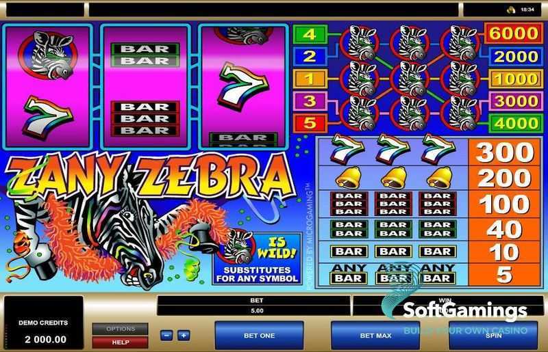 Zany Zebra