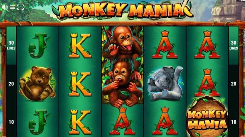 Monkey Mania