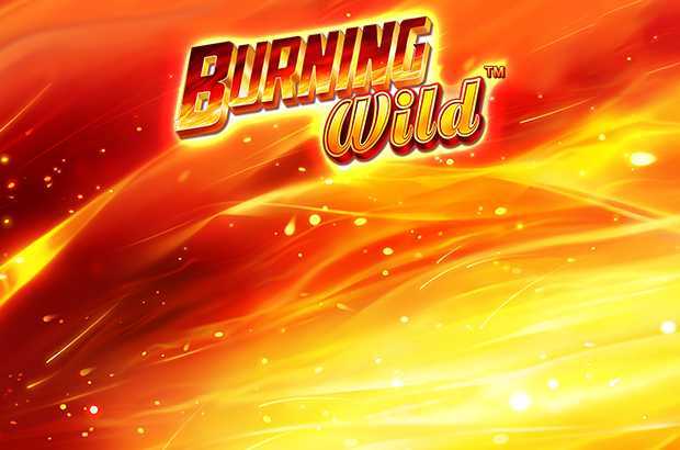 Burning WILD