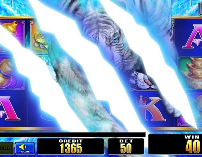 Feature Streak Tiger