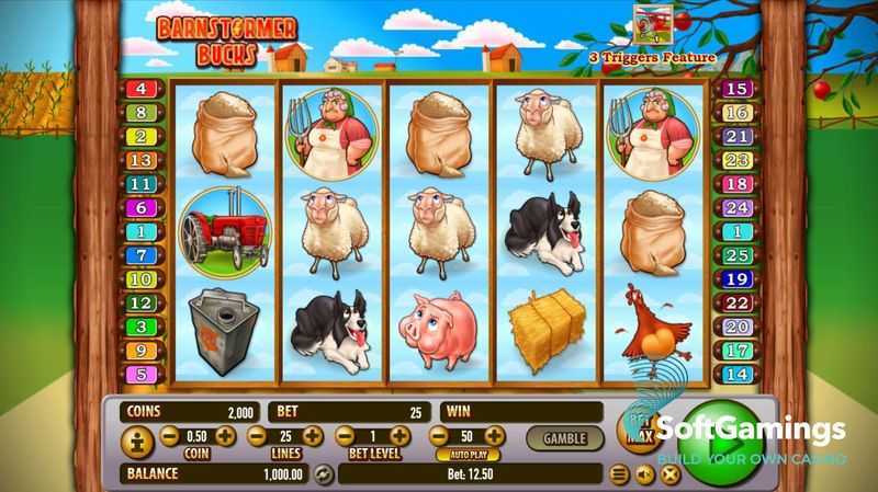 Barnstormer Bucks