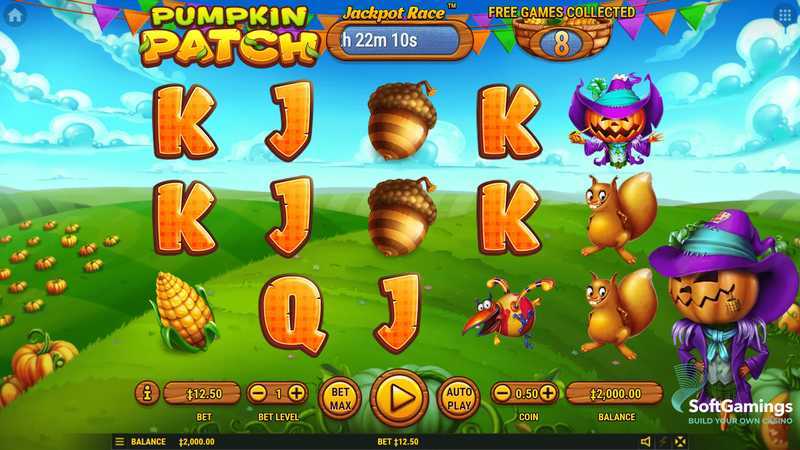 Pumpkin Patch