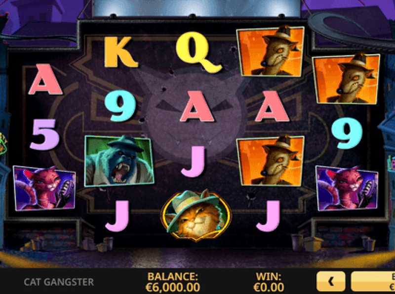 Cat Gangster