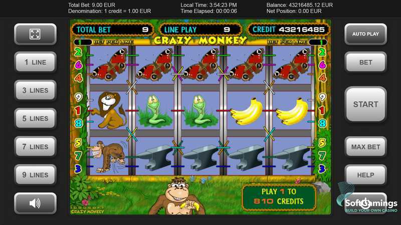 Crazy Monkey Crazy Monkey