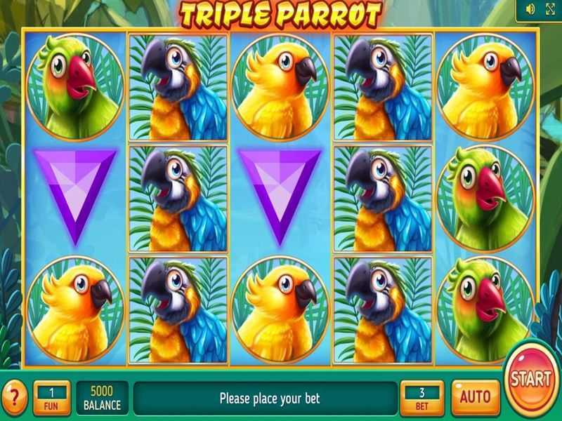 Triple Parrot