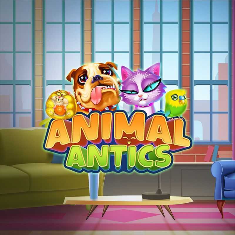 Animal Antics