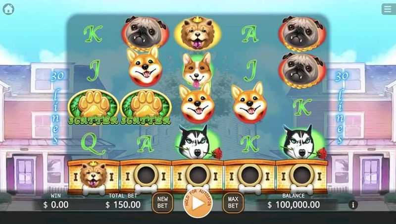 Who Let the Dogs Out