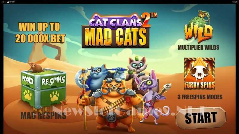 The Master Cat