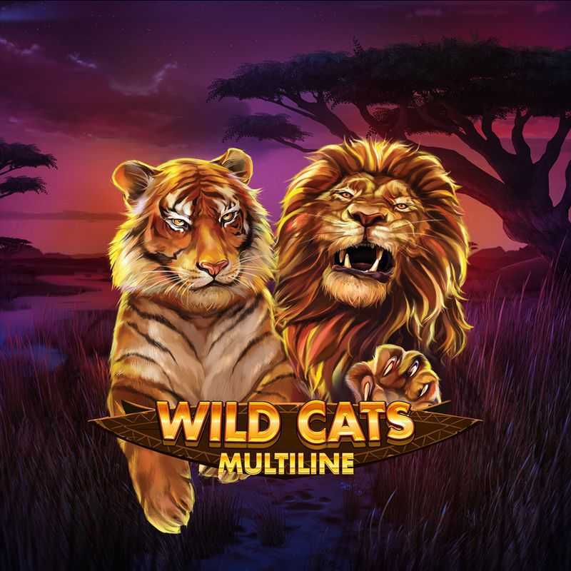 Big Wild Cats