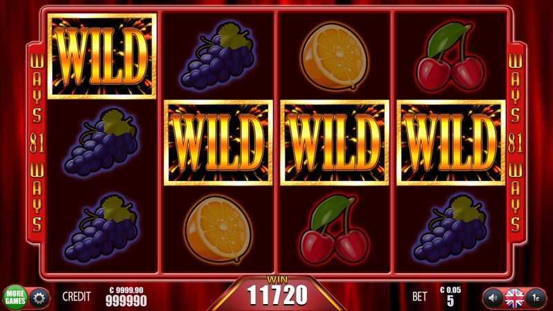 Multi Wild