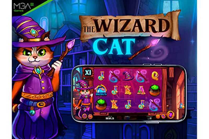 The Wizard Cat