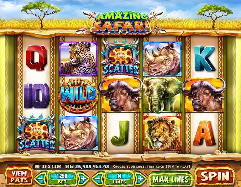 Big 5 Safari
