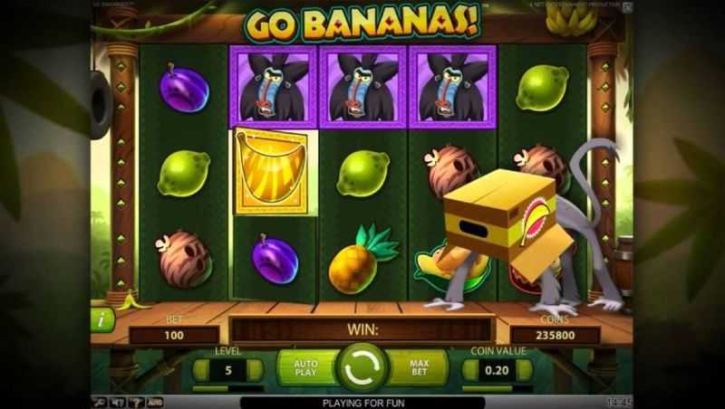 Go Bananas Go Bananas