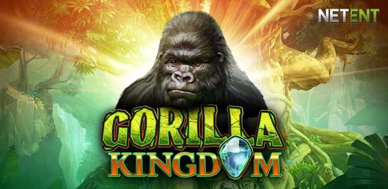 Gorilla Kingdom