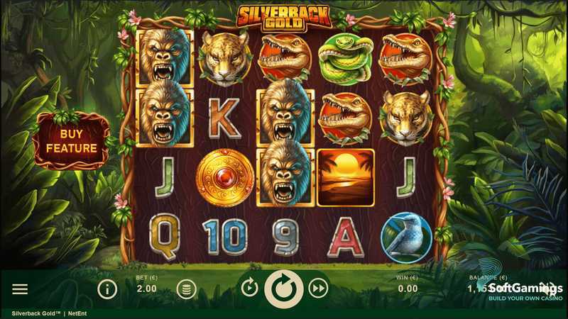 Silverback Gold Silverback Gold