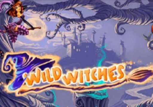 Wild Witches