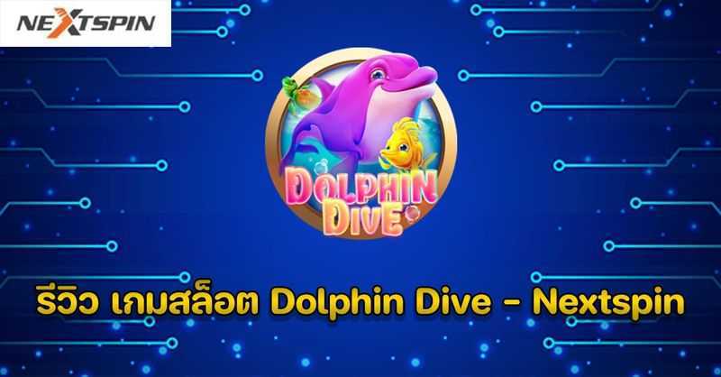 Dolphin Dive